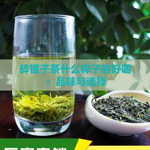 碎银子茶什么样子的好喝：品味与选择