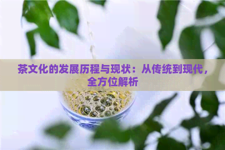 茶文化的发展历程与现状：从传统到现代，全方位解析