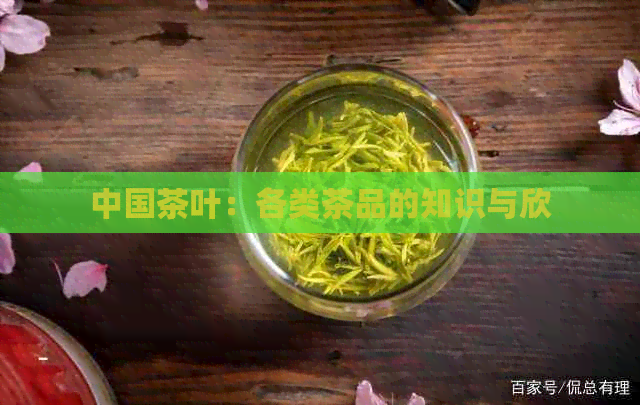 中国茶叶：各类茶品的知识与欣