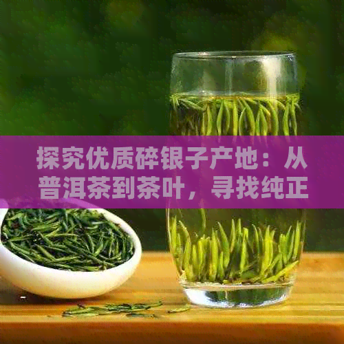 探究优质碎银子产地：从普洱茶到茶叶，寻找纯正口感的秘密