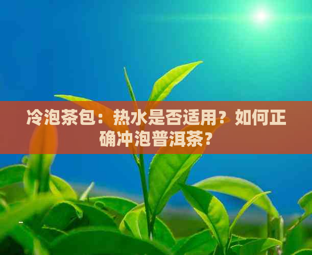 冷泡茶包：热水是否适用？如何正确冲泡普洱茶？