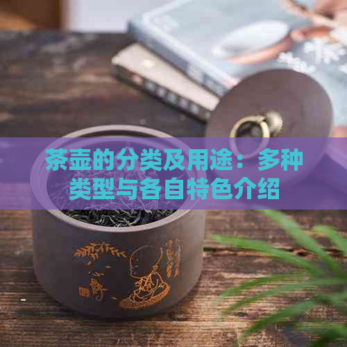 茶壶的分类及用途：多种类型与各自特色介绍