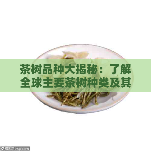 茶树品种大揭秘：了解全球主要茶树种类及其特点