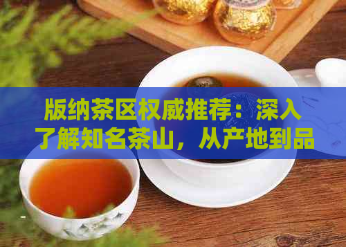 版纳茶区权威推荐：深入了解知名茶山，从产地到品质一应俱全！