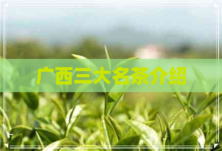 广西三大名茶介绍