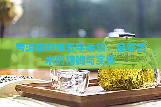 普洱茶冲泡五字要领：品茗艺术的精髓与实践