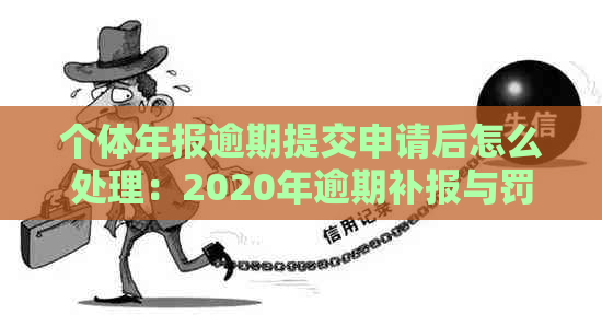 个体年报逾期提交申请后怎么处理：2020年逾期补报与罚款解答