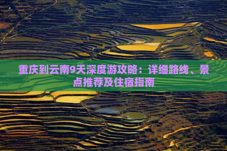 重庆到云南9天深度游攻略：详细路线、景点推荐及住宿指南