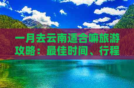 一月去云南适合嘛旅游攻略：更佳时间、行程规划与注意事项全解析