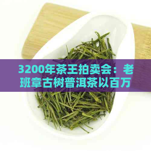 3200年茶王拍卖会：老班章古树普洱茶以百万天价售出