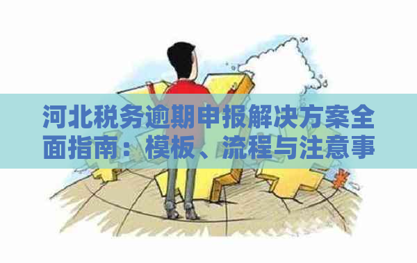 河北税务逾期申报解决方案全面指南：模板、流程与注意事项一应俱全