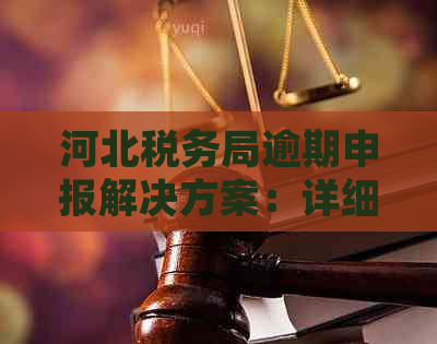 河北税务局逾期申报解决方案：详细操作流程与重要提示