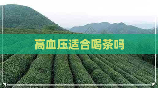 高血压适合喝茶吗