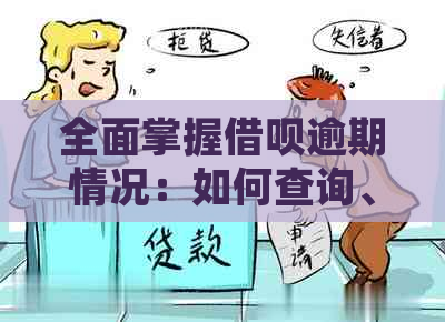 全面掌握借呗逾期情况：如何查询、影响及解决办法，让你的借款无忧！