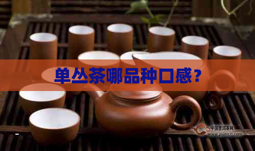 单丛茶哪品种口感？