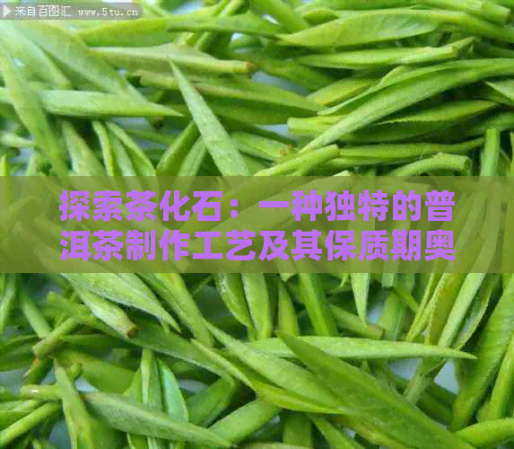 探索茶化石：一种独特的普洱茶制作工艺及其保质期奥秘