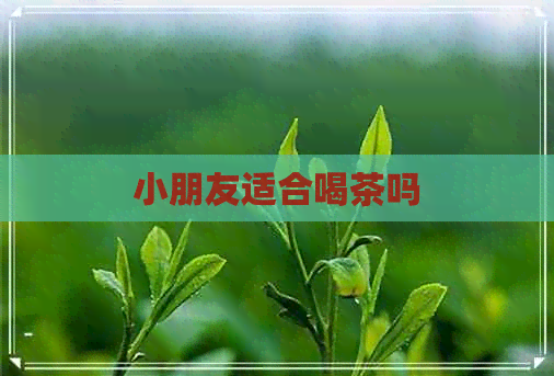 小朋友适合喝茶吗