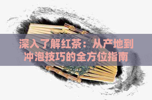 深入了解红茶：从产地到冲泡技巧的全方位指南