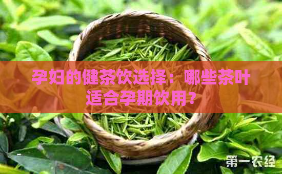 孕妇的健茶饮选择：哪些茶叶适合孕期饮用？