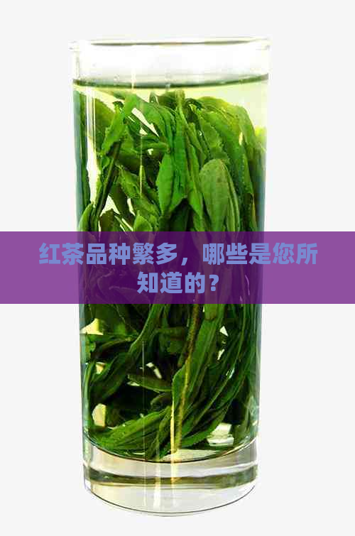 红茶品种繁多，哪些是您所知道的？