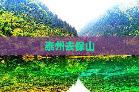 泰州去保山