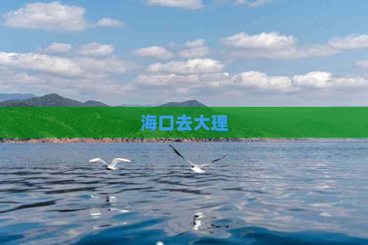 海口去大理