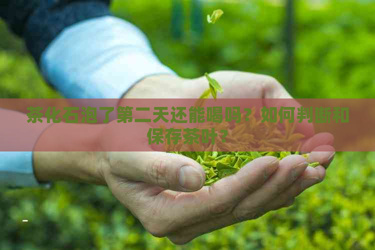 茶化石泡了第二天还能喝吗？如何判断和保存茶叶？