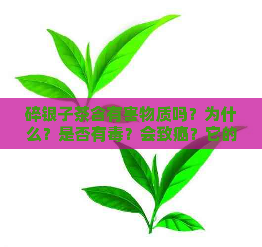 碎银子茶含有害物质吗？为什么？是否有？会致癌？它的害处是什么？