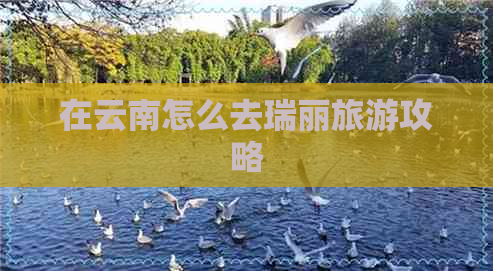 在云南怎么去瑞丽旅游攻略