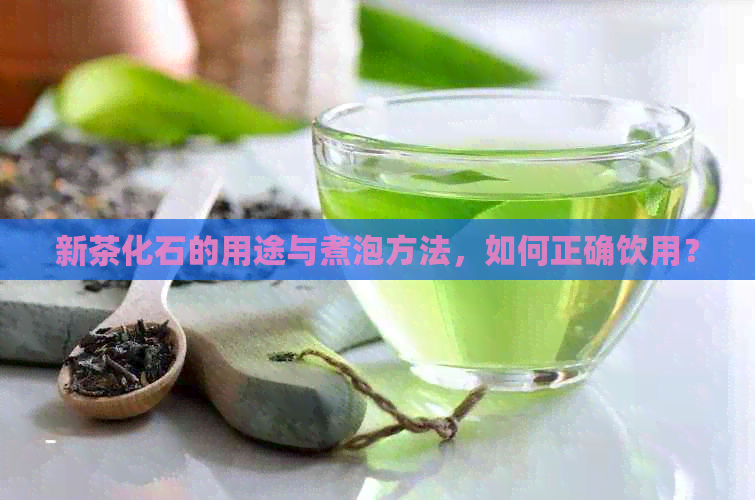 新茶化石的用途与煮泡方法，如何正确饮用？