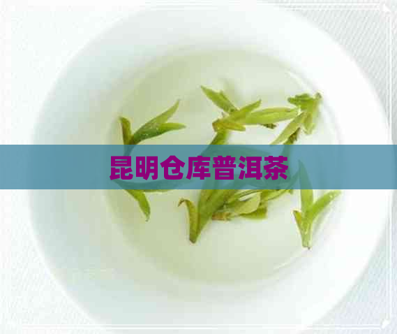 昆明仓库普洱茶