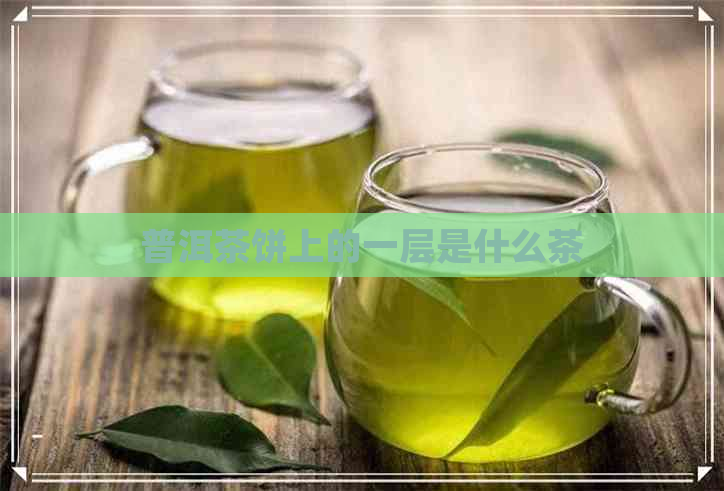 普洱茶饼上的一层是什么茶