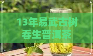 13年易武古树春生普洱茶