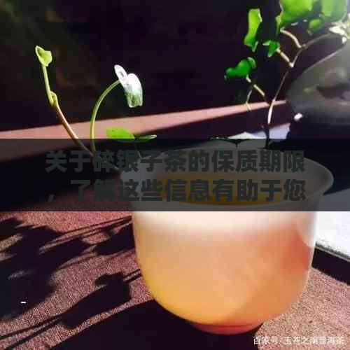 关于碎银子茶的保质期限，了解这些信息有助于您更好地保存和享受茶叶