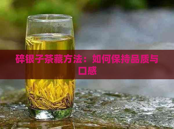 碎银子茶藏方法：如何保持品质与口感