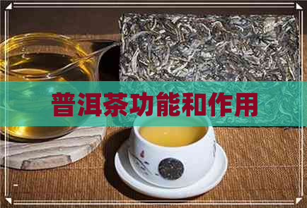 普洱茶功能和作用