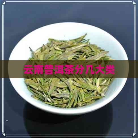 云南普洱茶分几大类