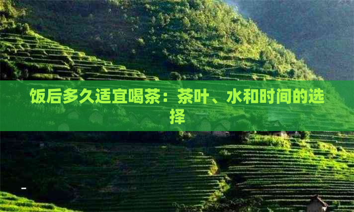 饭后多久适宜喝茶：茶叶、水和时间的选择