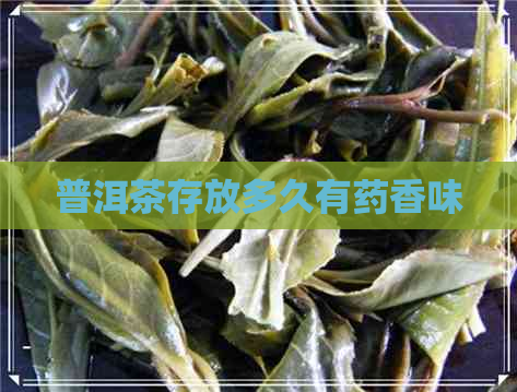 普洱茶存放多久有药香味