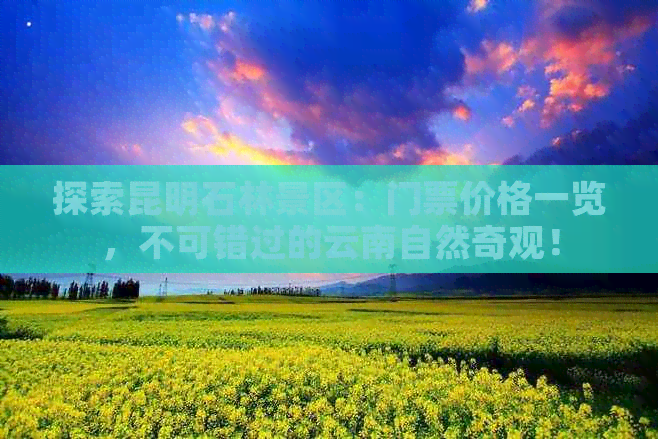 探索昆明石林景区：门票价格一览，不可错过的云南自然奇观！