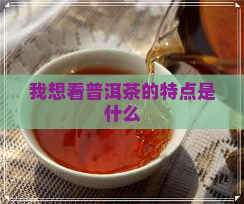 我想看普洱茶的特点是什么