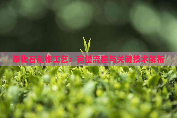 茶化石制作工艺：完整流程与关键技术解析