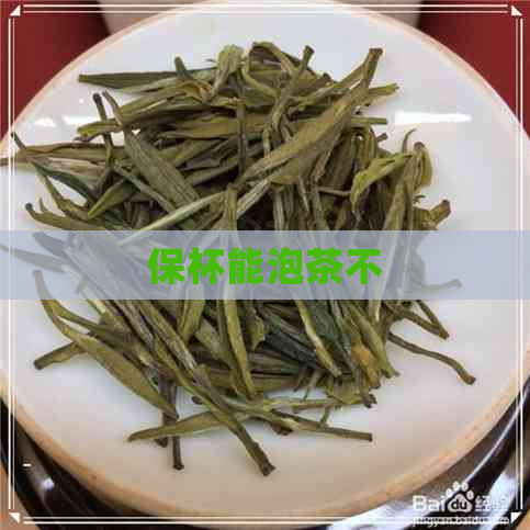 保杯能泡茶不