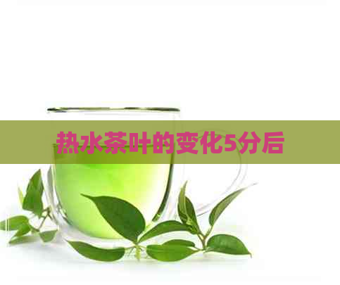 热水茶叶的变化5分后