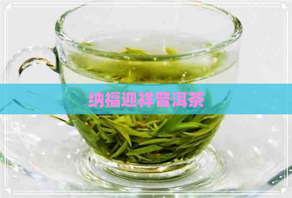 纳福迎祥普洱茶