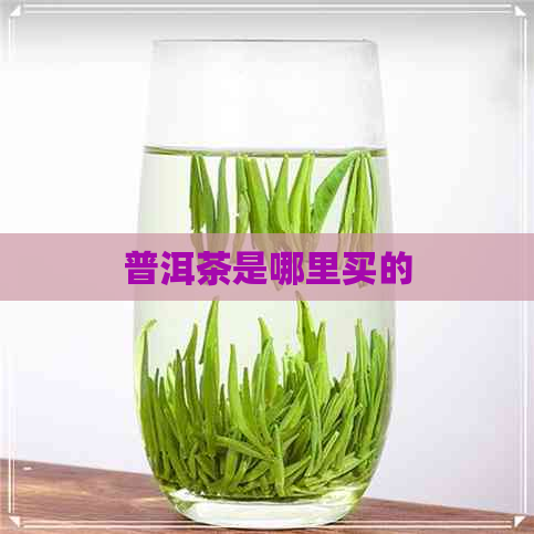 普洱茶是哪里买的