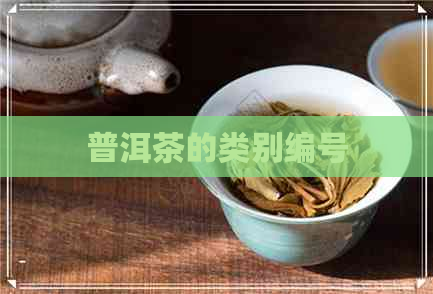 普洱茶的类别编号