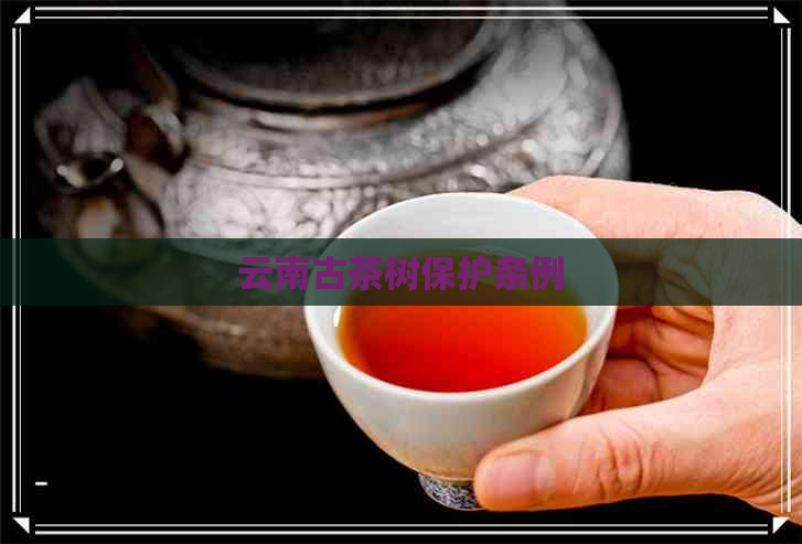 云南古茶树保护条例