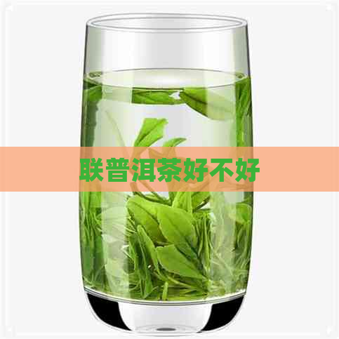 联普洱茶好不好