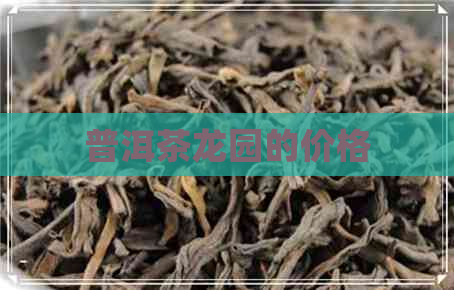 普洱茶龙园的价格